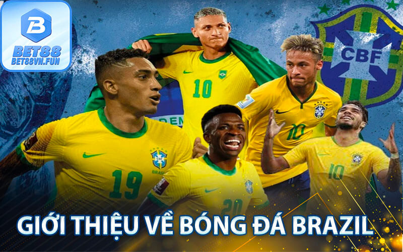 Giới thiệu về Bóng đá Brazil 